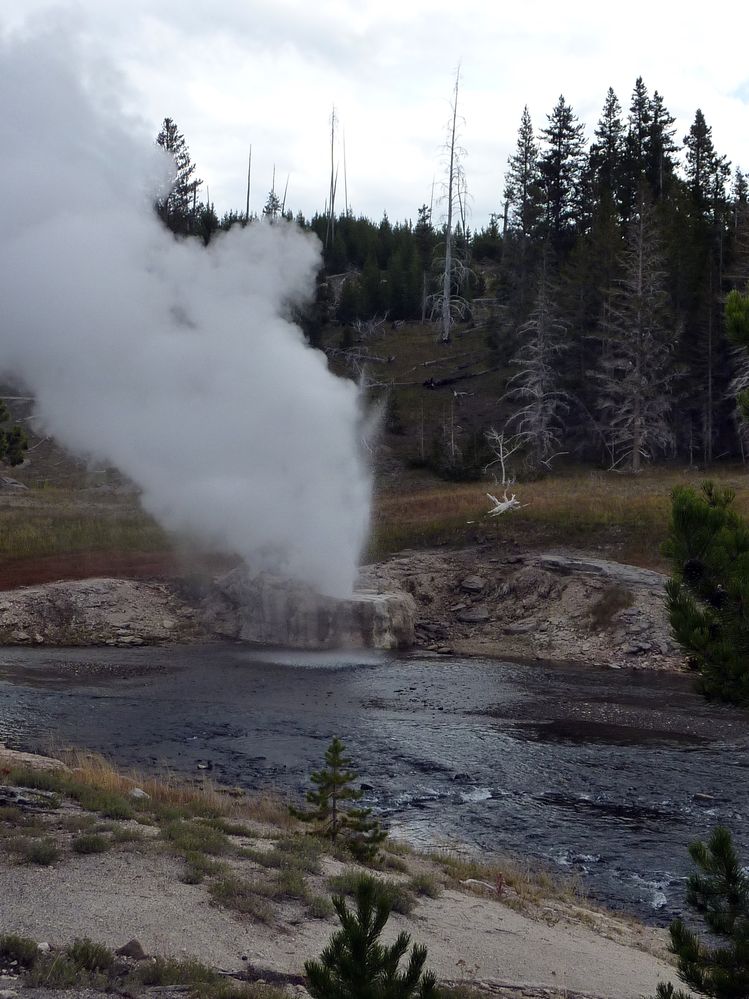 Yellowstone Old faithfull et ses environs (89).JPG